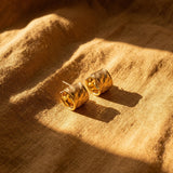 Aura Earrings