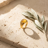 ANILLO CHALEUR